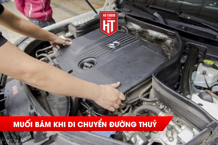 Vệ sinh khoang máy giúp loại bỏ muối bám trong quá trình vận chuyển ô tô